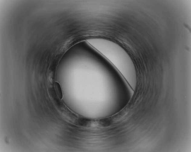 X0000096710264200802051044