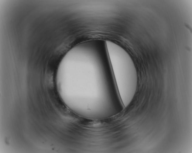 X0000096710267200802051044