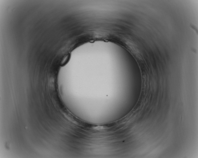 X0000096710269200802051044