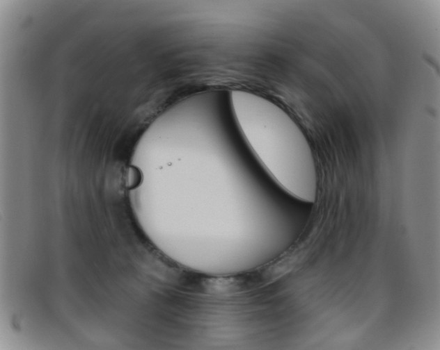 X0000096710273200802051044