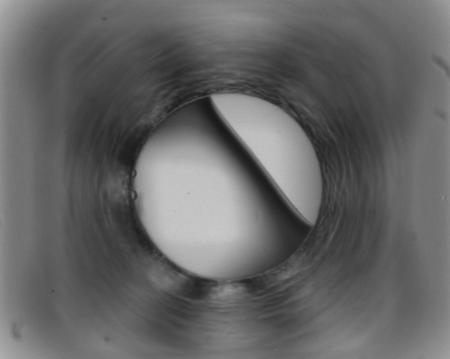 X0000096710274200802051044