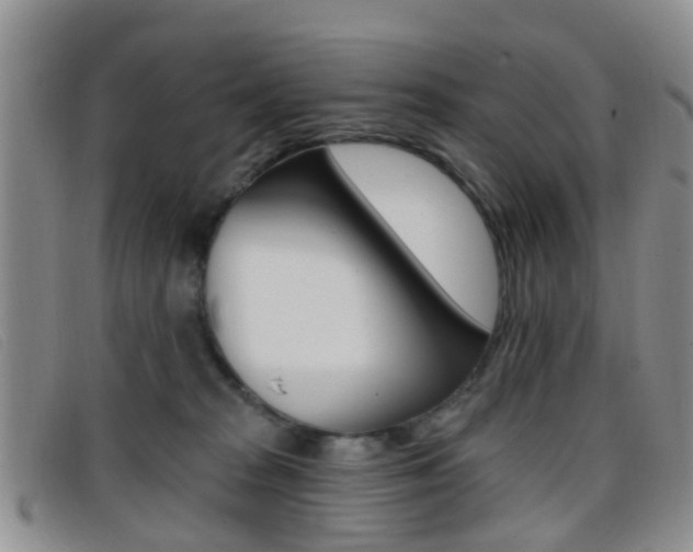 X0000096710277200802051044