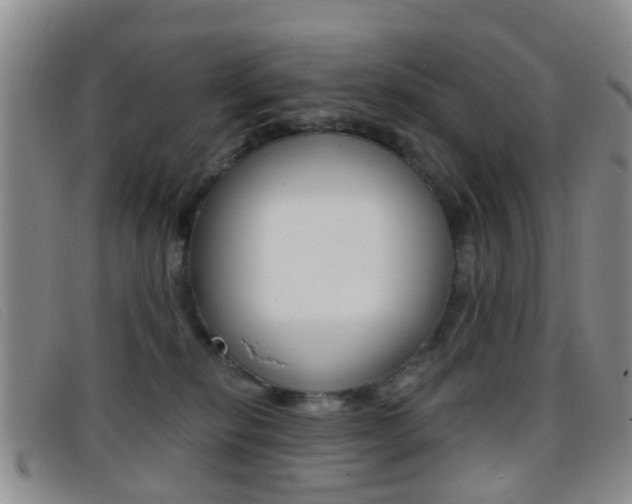 X0000096710278200802051044