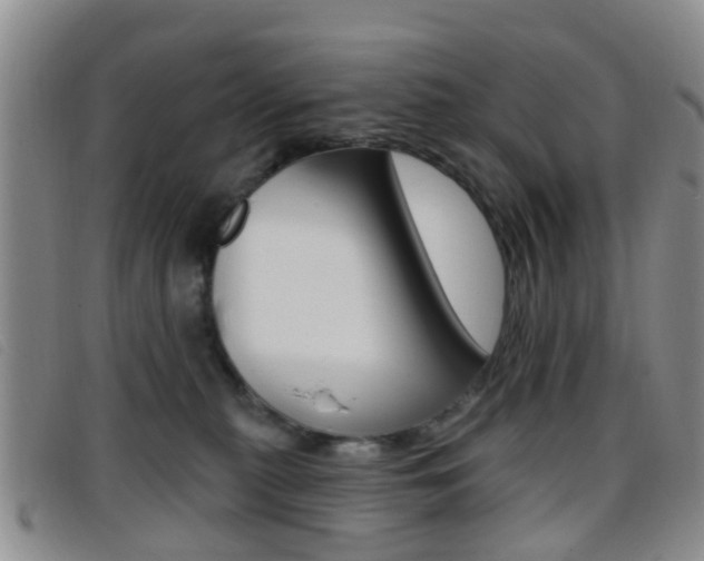 X0000096710279200802051044