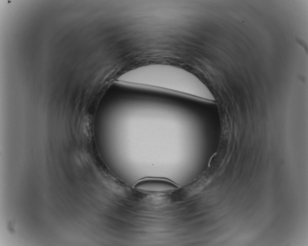 X0000096710280200802051044