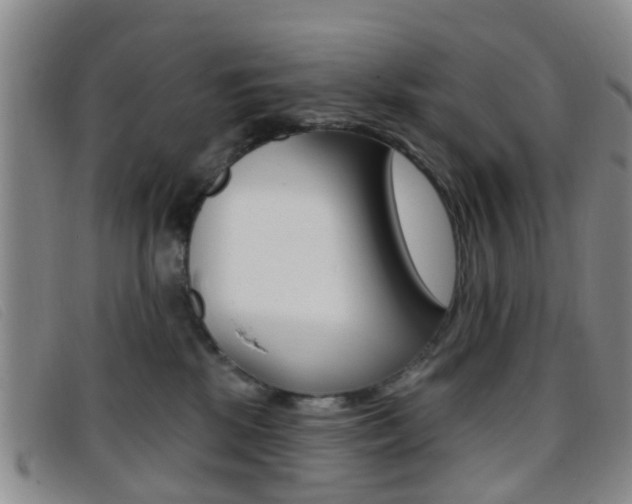 X0000096710281200802051044