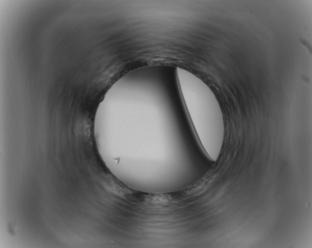 X0000096710282200802051044