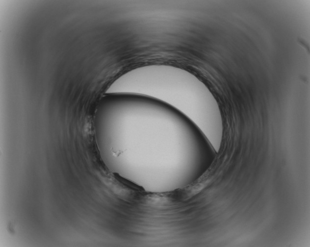 X0000096710284200802051044