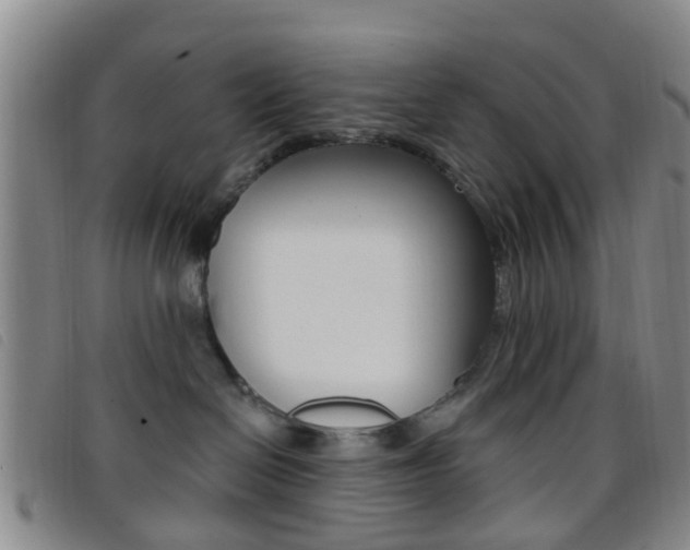 X0000096710286200802051044