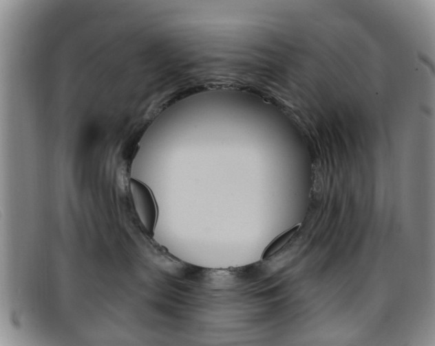 X0000096710287200802051044