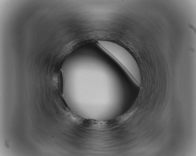 X0000096710288200802051044