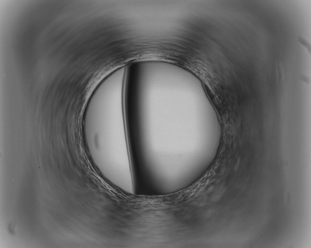 X0000096710289200802051044