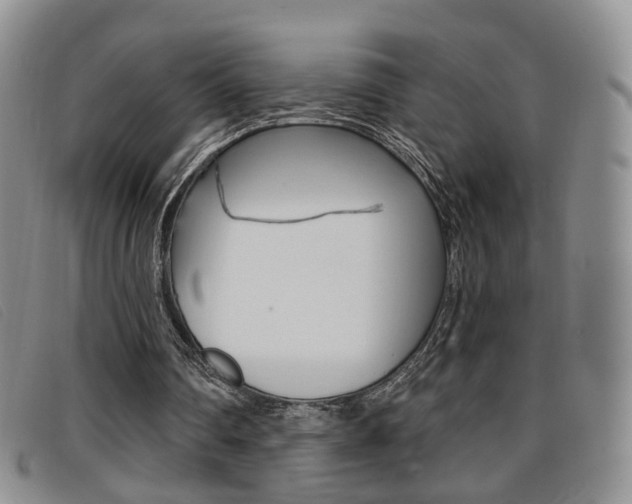 X0000096710290200802051044