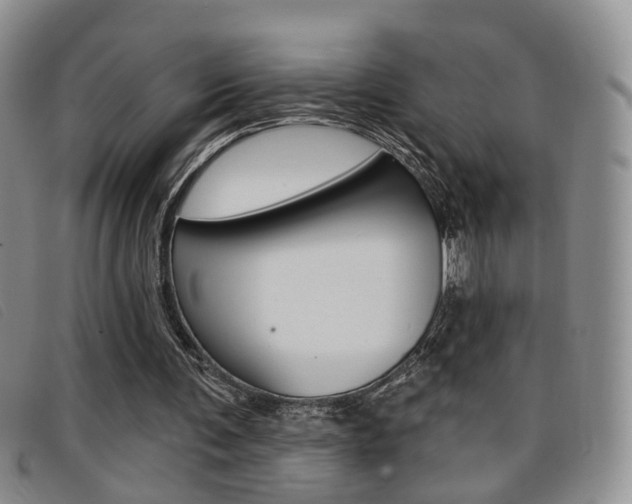 X0000096710291200802051044