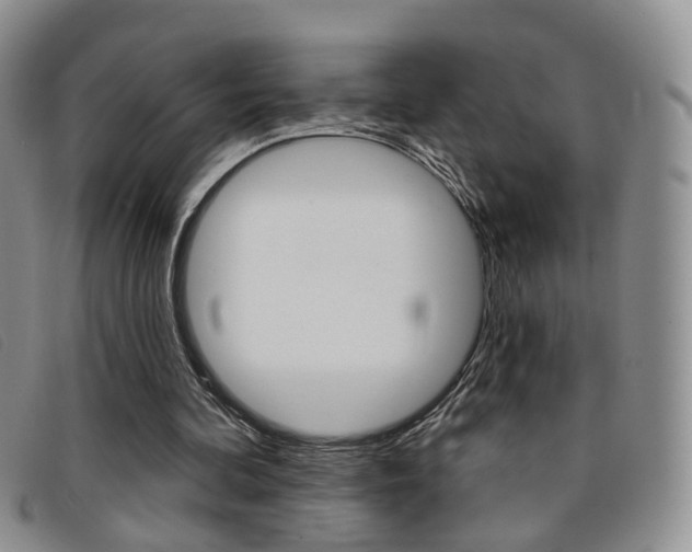 X0000096710292200802051044