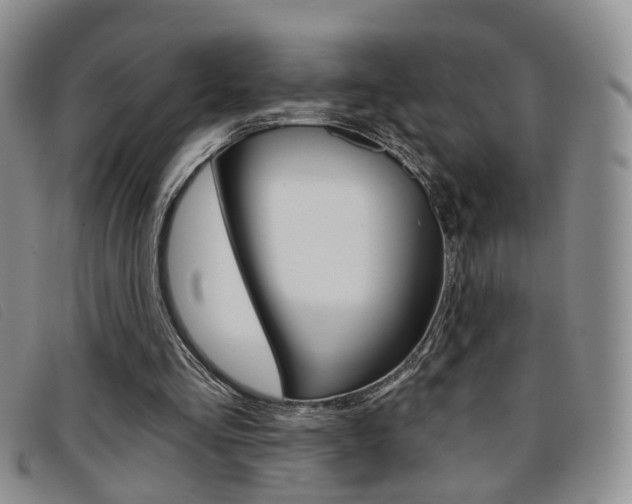 X0000096710293200802051044