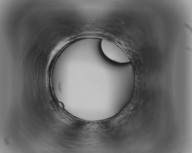 X0000096710294200802051044