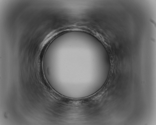 X0000096710295200802051044