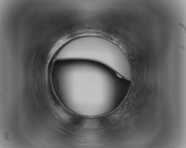 X0000096710296200802051044