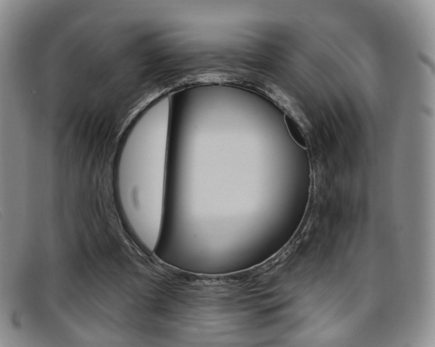 X0000096710297200802051043