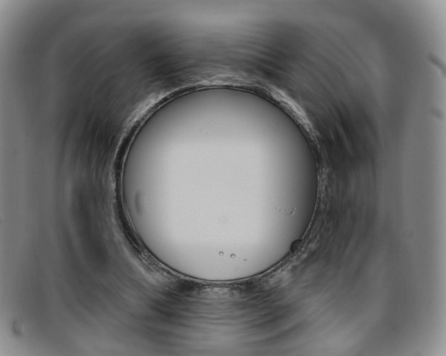 X0000096710298200802051043