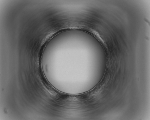 X0000096710299200802051043