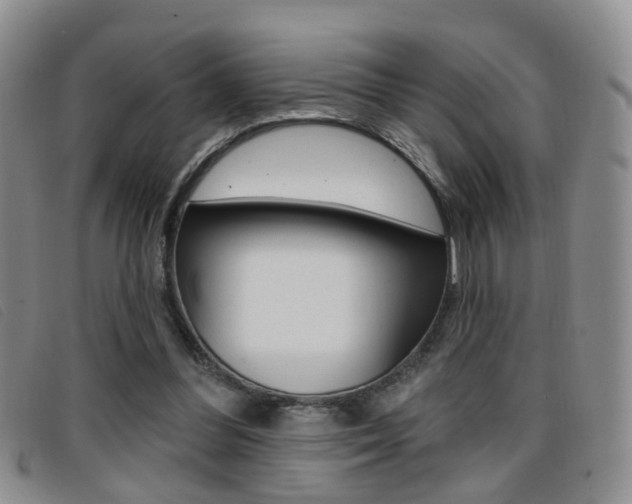 X0000096710300200802051043