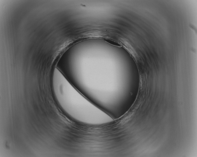 X0000096710301200802051043