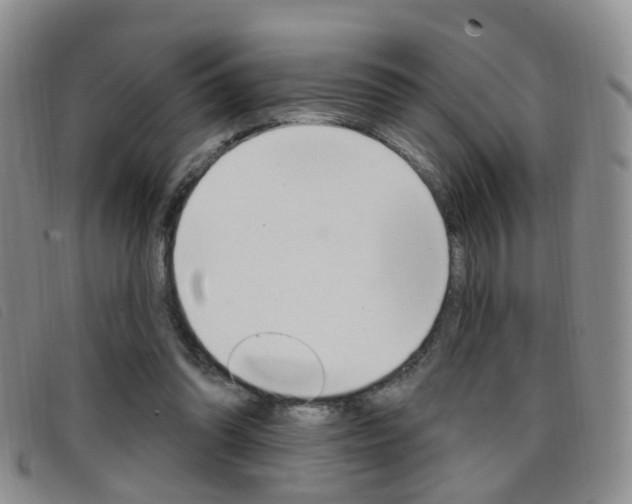 X0000096710302200802051043