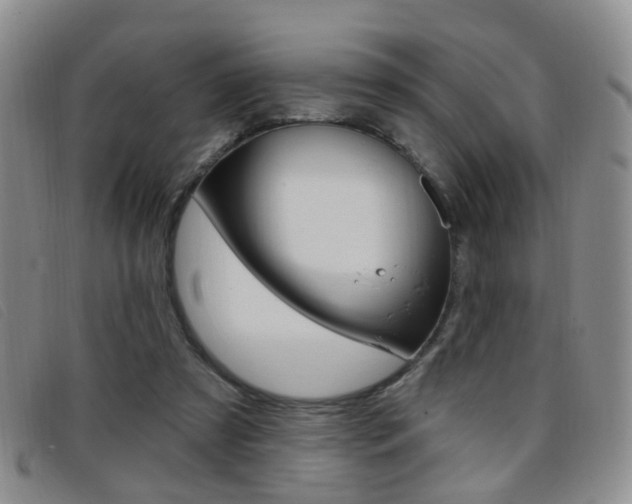 X0000096710305200802051043