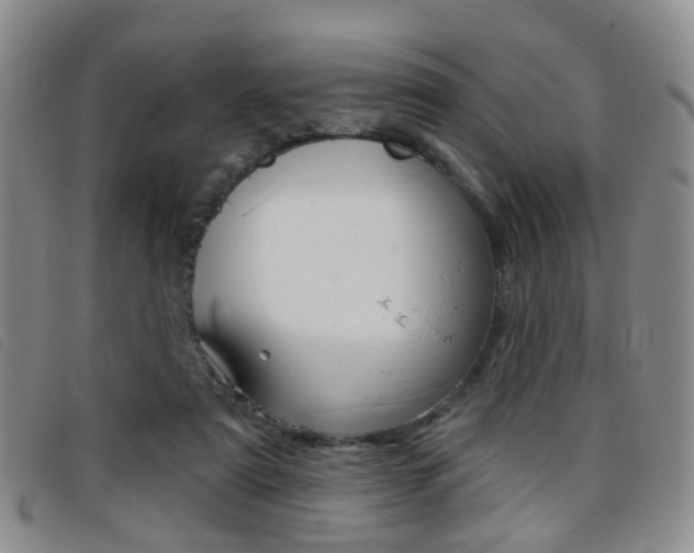 X0000096710307200802051043