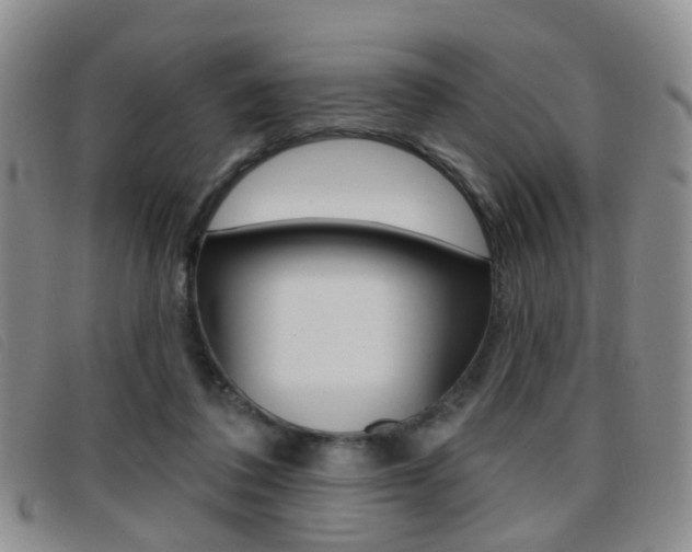 X0000096710308200802051043