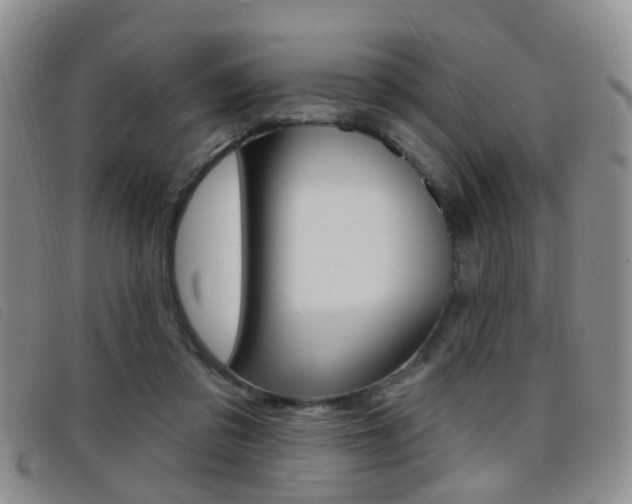 X0000096710309200802051043