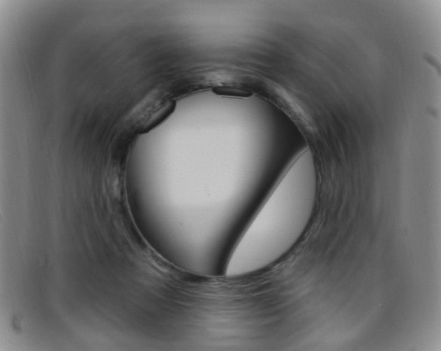 X0000096710313200802051043