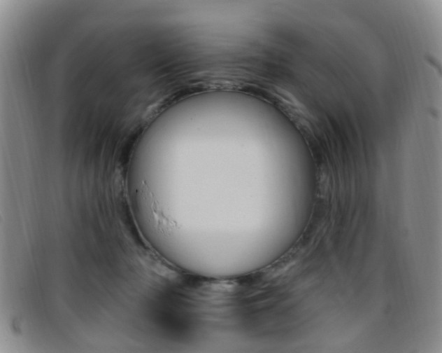 X0000096710318200802051043