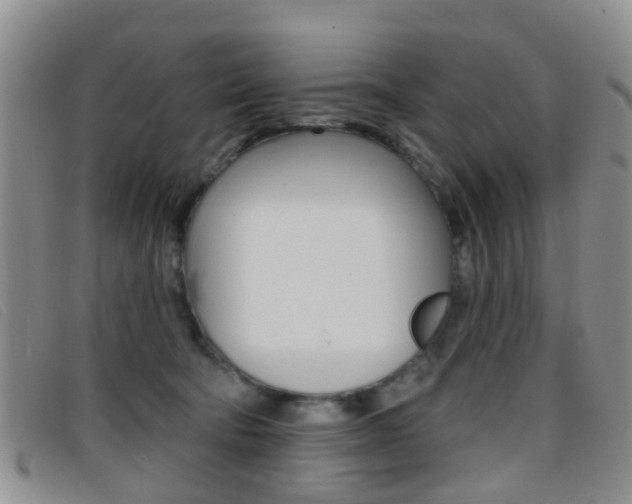 X0000096710322200802051043