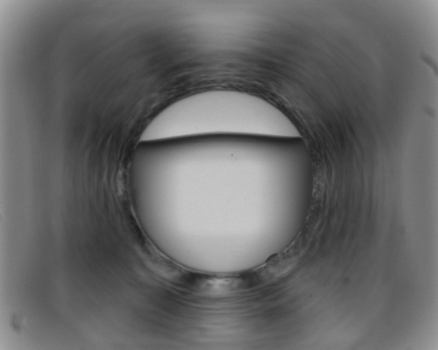 X0000096710323200802051043