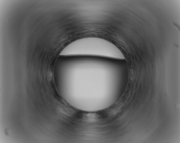 X0000096710324200802051043