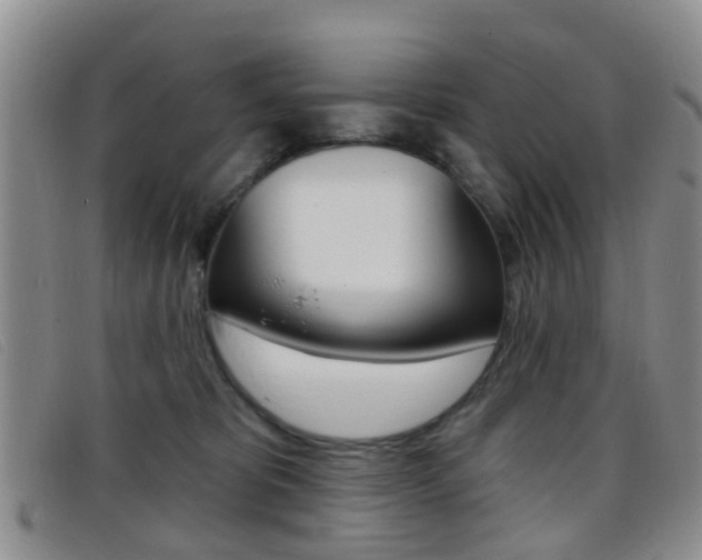 X0000096710325200802051043