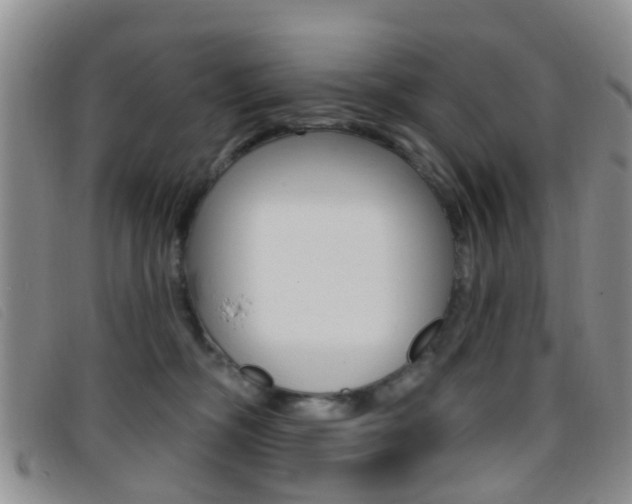 X0000096710326200802051043