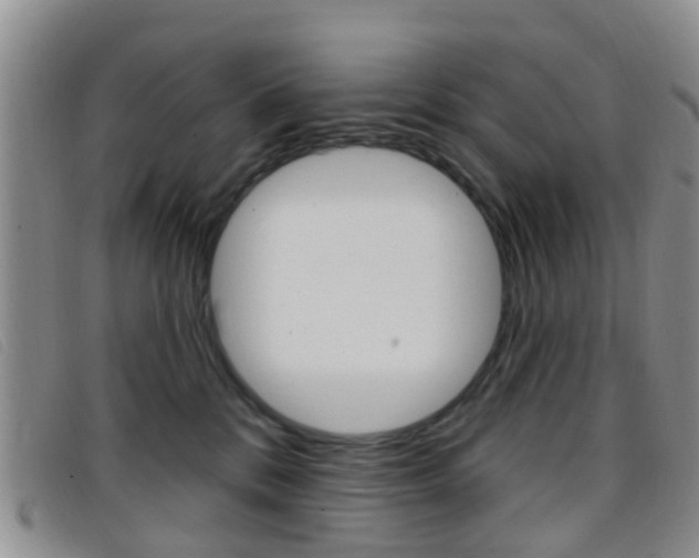 X0000096710328200802051043