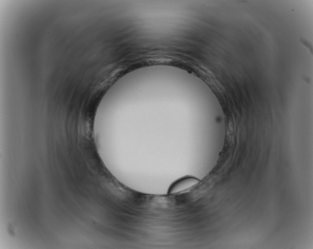 X0000096710330200802051043