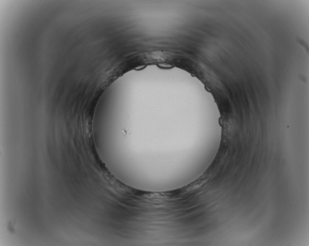 X0000096710331200802051043