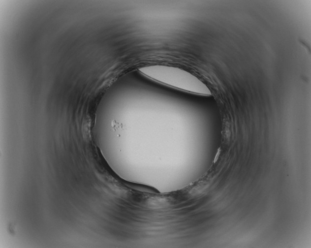 X0000096710332200802051043