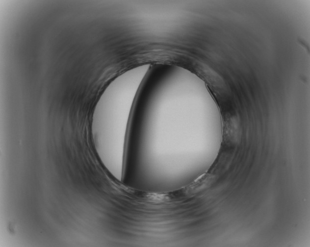 X0000096710333200802051043