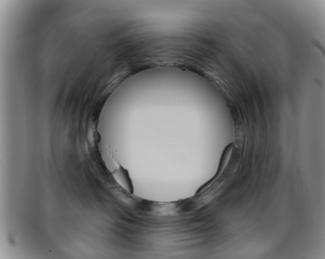 X0000096710334200802051043