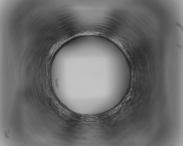 X0000096710337200802051042