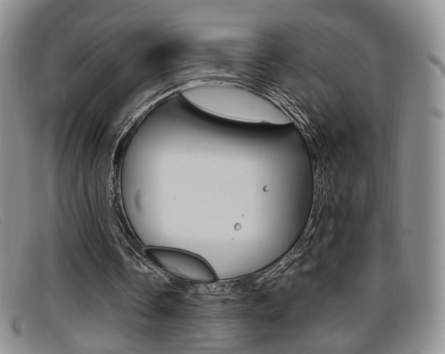 X0000096710338200802051042