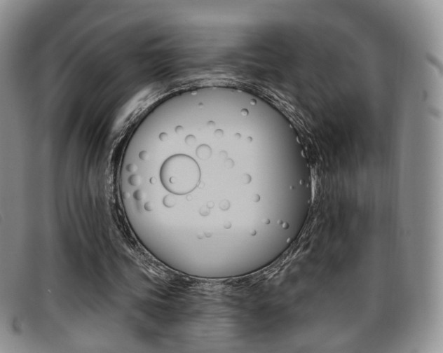 X0000096710339200802051042