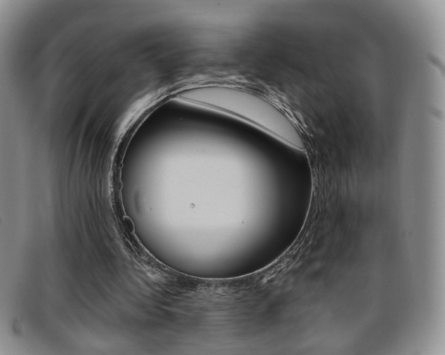 X0000096710340200802051042